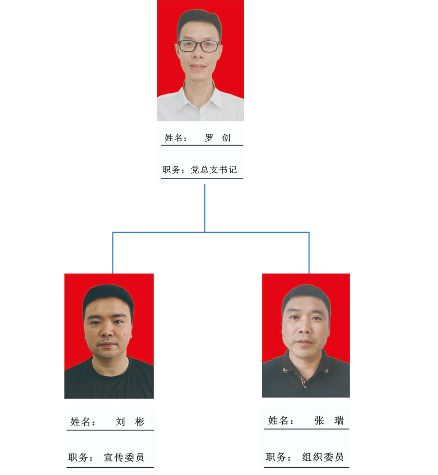 中共长沙县物流与采购联合会支部委员会